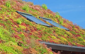 West Heslerton living roof systems