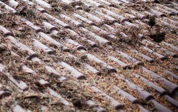 West Heslerton roof cleaning companies